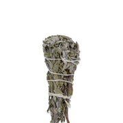 Kurumuş adaçayı demeti beyaz ip ile bağlanmış.